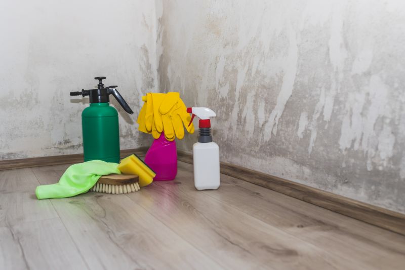 Basement Mold Removals