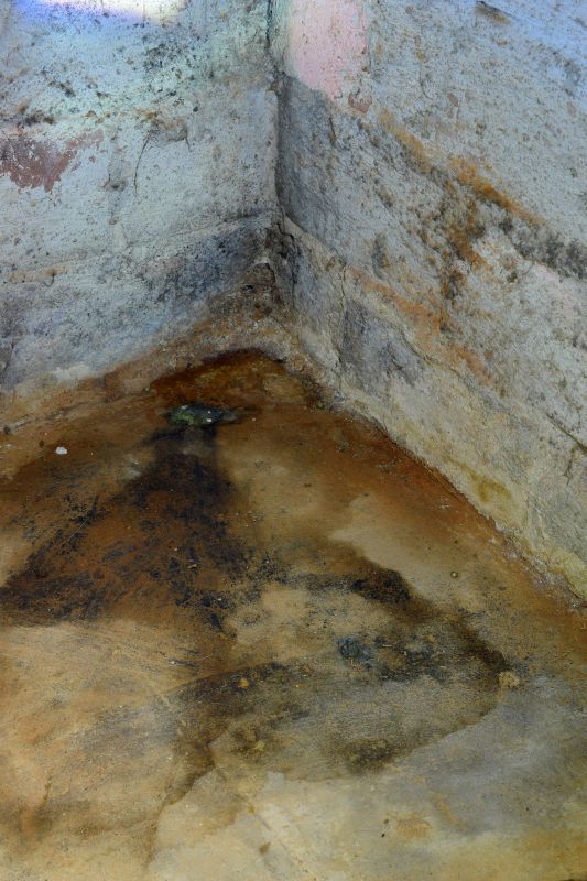 Basement Mold Removals