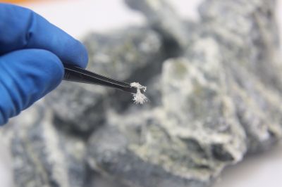 Asbestos Assessment in Bergen County, NJ