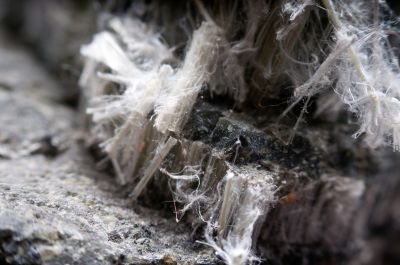 Asbestos Assessment in Freehold, NJ