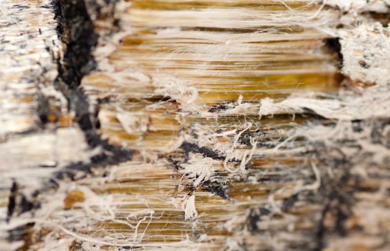 Asbestos Mitigation in Sussex County, NJ
