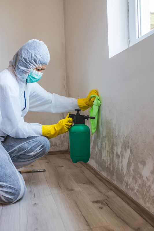 Attic Mold Removal in Bergen County, NJ
