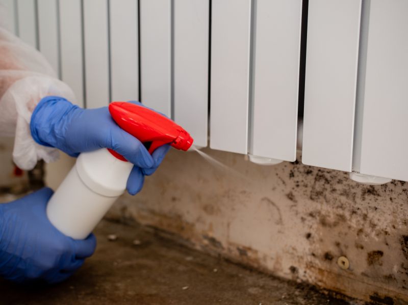 Attic Mold Removal in Bergen County, NJ