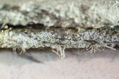Basement Asbestos Removal in Freehold, NJ