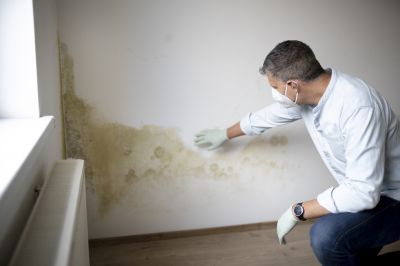 Basement Mold Remediation in Fort Worth, TX