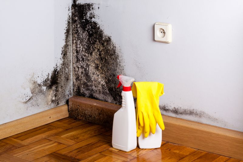 Basement Mold Remediation in Jupiter, FL