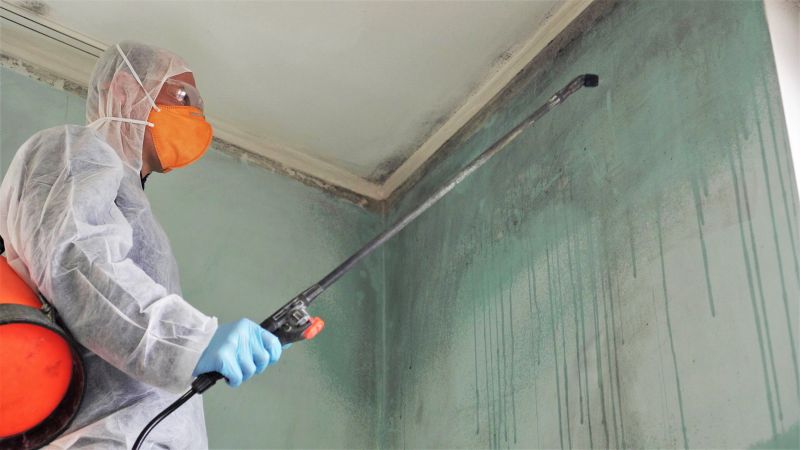 Basement Mold Remediation in Dallas, TX