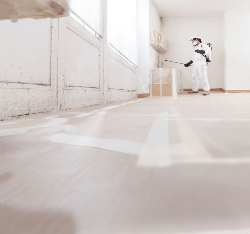 Basement Mold Removal in Bergen County, NJ
