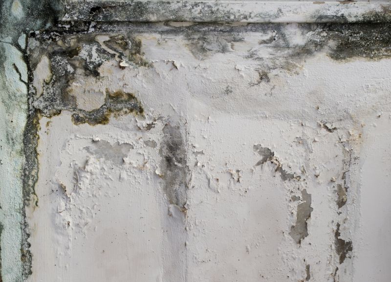 Basement Mold Removal in Fort Worth, TX
