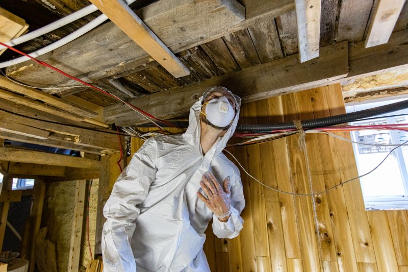 Basement Mold Removals