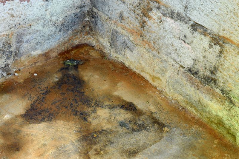 Basement Mold Removals