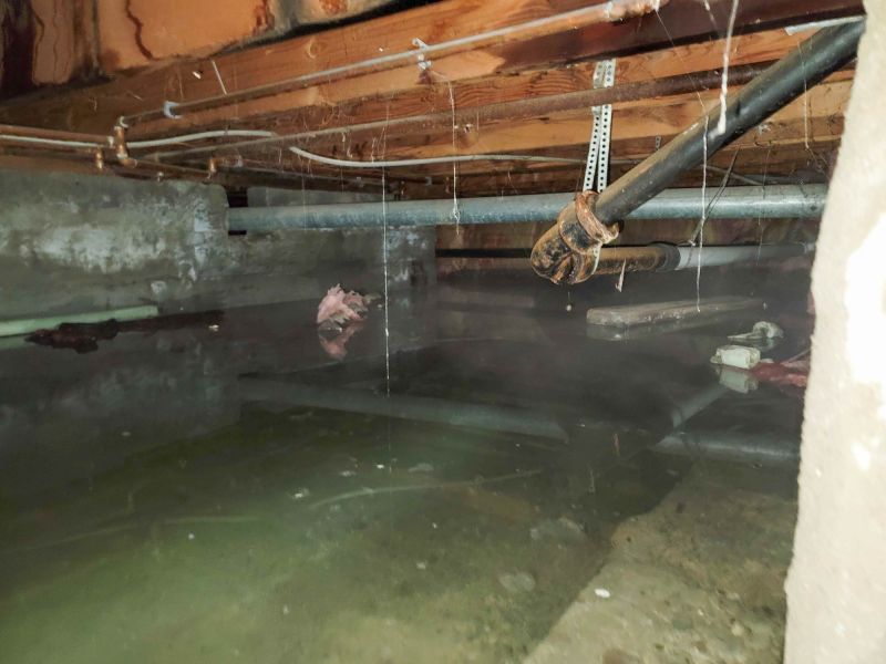 Basement Mold Removals