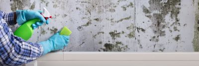 Basement Mold Removals