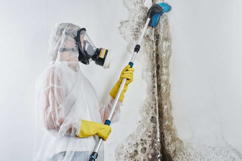 Basement Mold Removals