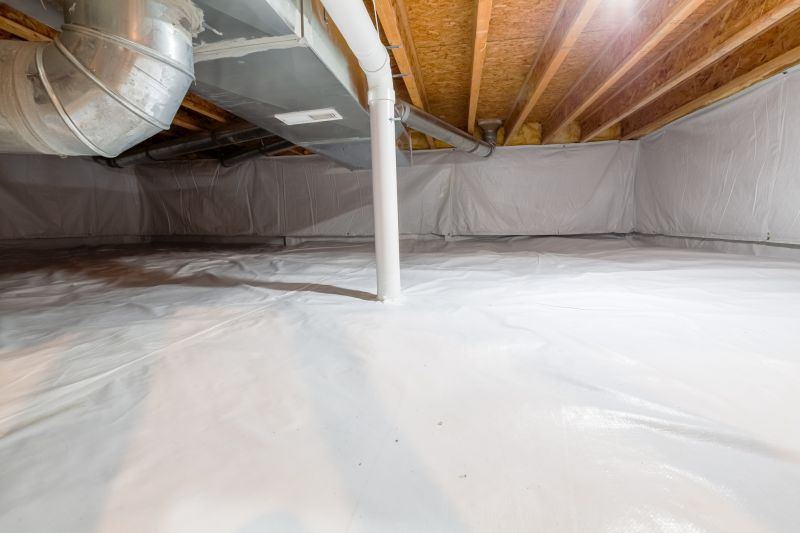 Basement Mold Removals