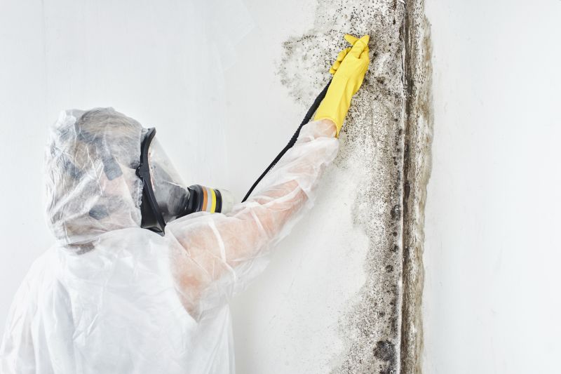 Basement Mold Removals
