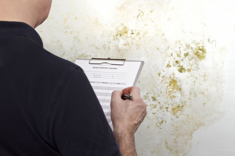 Mold Inspection in Basements