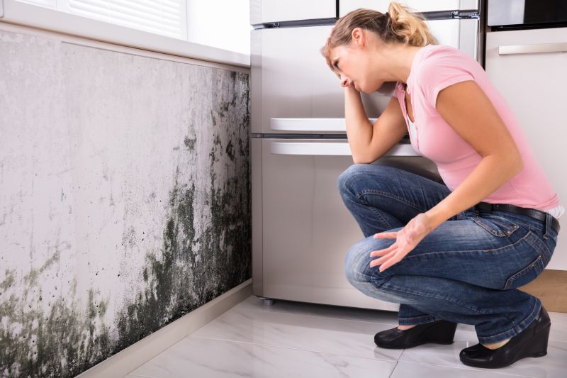 Black Mold Removal in Bergen County, NJ