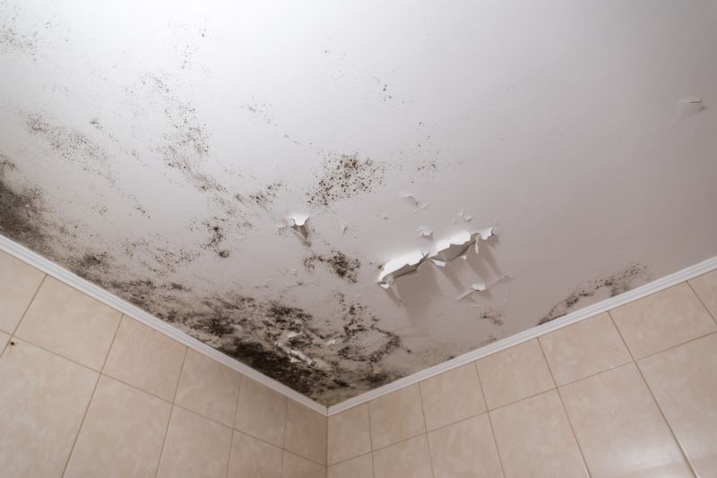 Ceiling Mold Removal in Dallas, TX