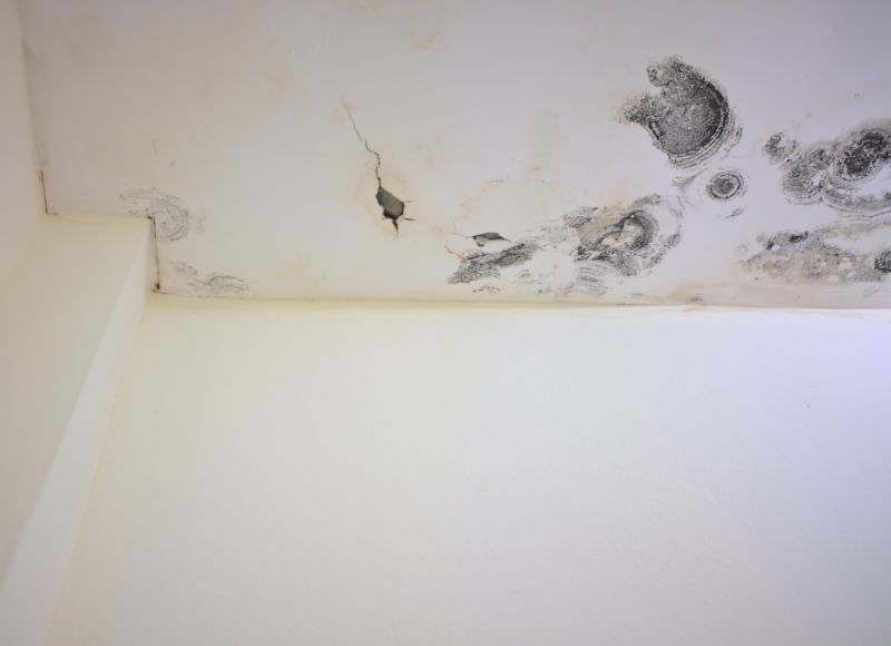 Garage Mold Remediation in Fort Lauderdale, FL