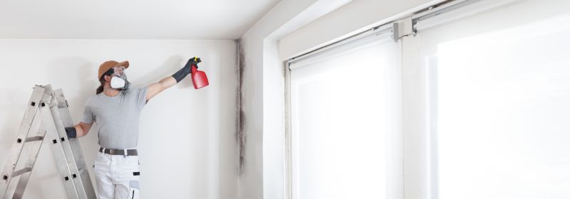 Garage Mold Remediation in Dallas, TX