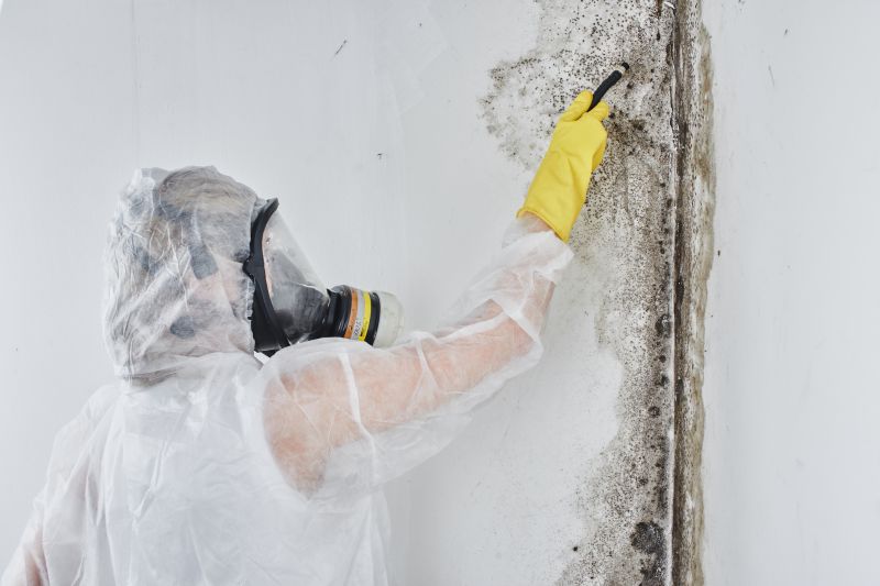 Mold Abatement in Delray Beach, FL