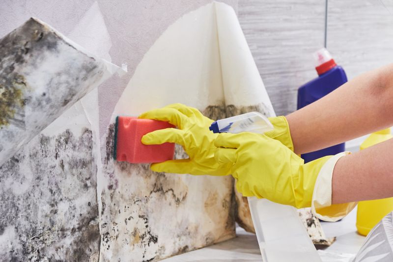 Mold Abatement Service in Bergen County, NJ