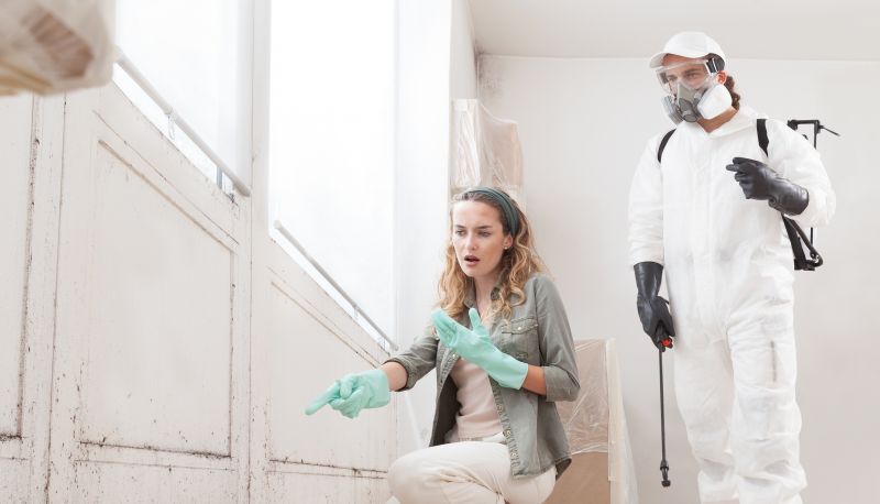 Mold Cleanup Service in West Palm Beach, FL