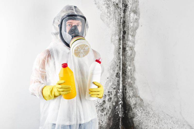 Mold Cleanup Service in West Palm Beach, FL
