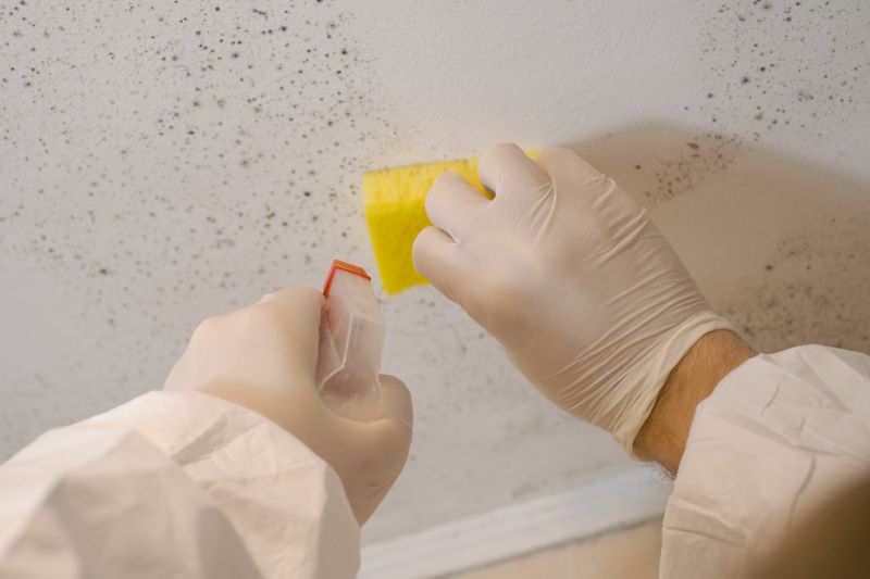 Mold Cleanup Service in Jupiter, FL