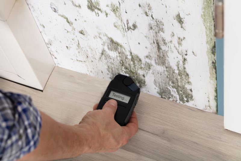 Mold Detection in Plano, TX