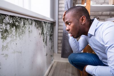 Mold Inspection And Removal in Essex County, NJ
