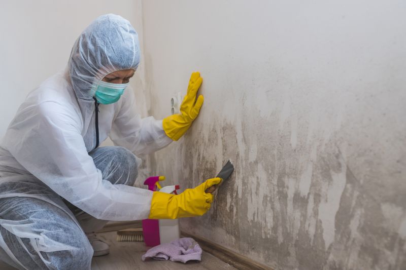 Mold Mitigation Service in West Palm Beach, FL