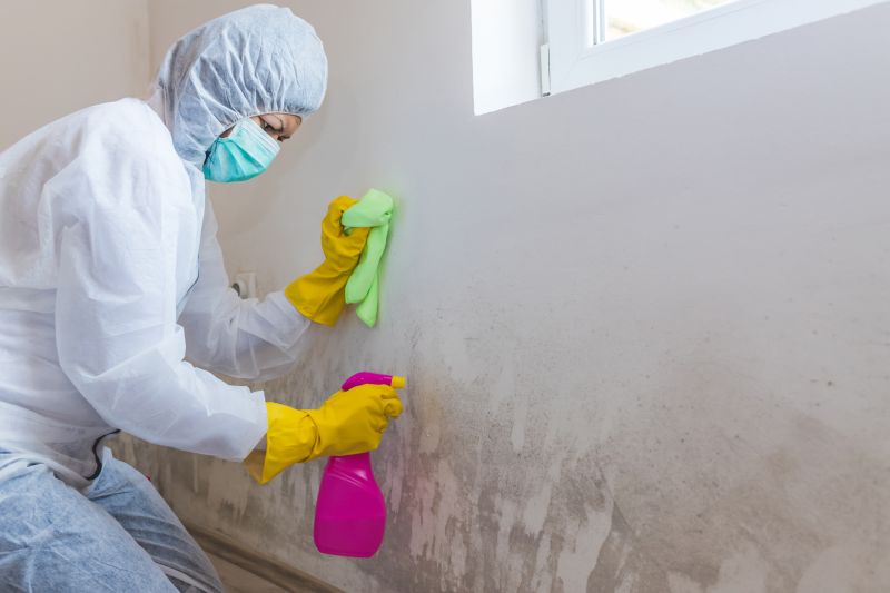 Mold Remediation Service in Bergen County, NJ