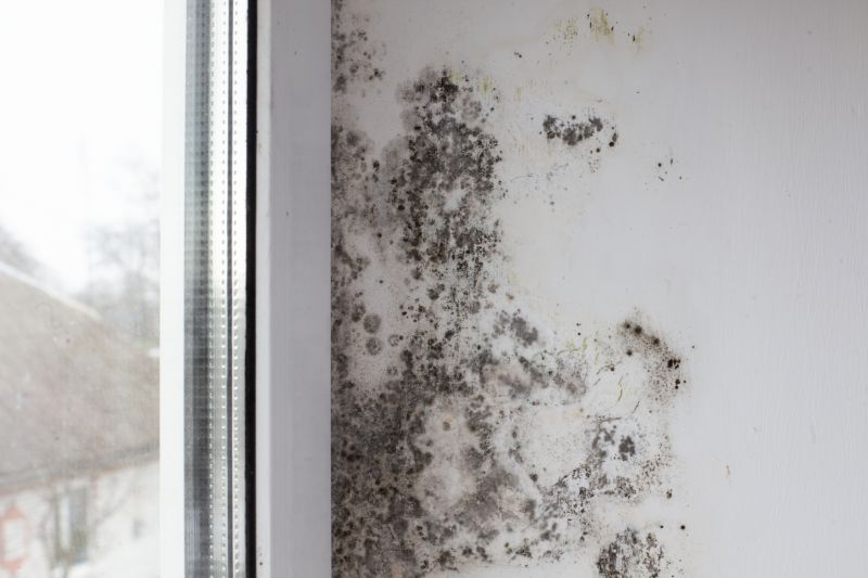 Mold Removal in Broward County, FL