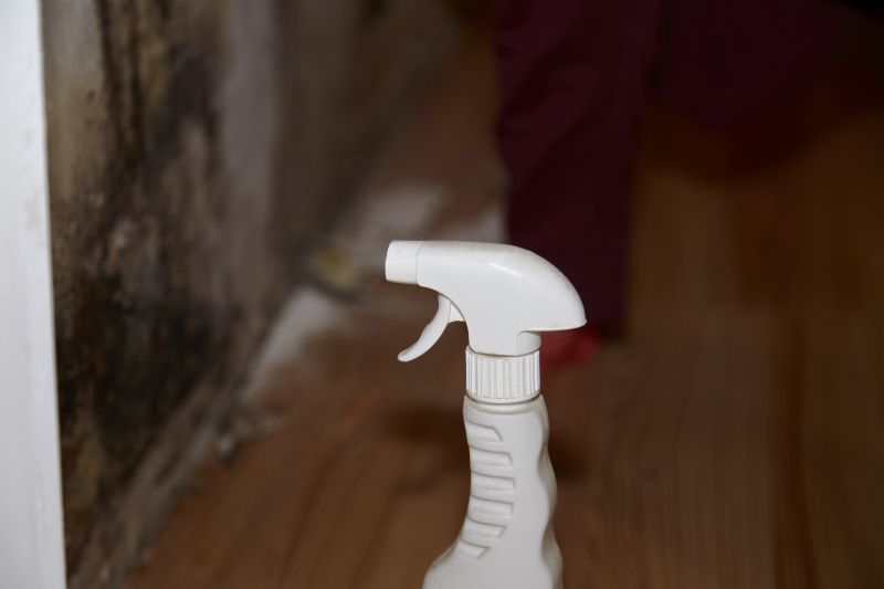 Mold Restoration in Frisco, TX