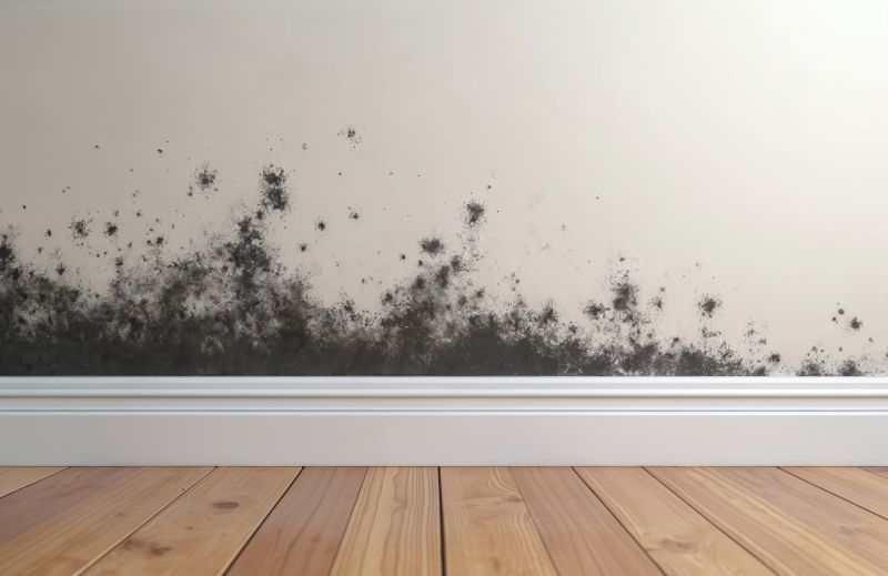 White Mold Mitigation in Dallas, TX