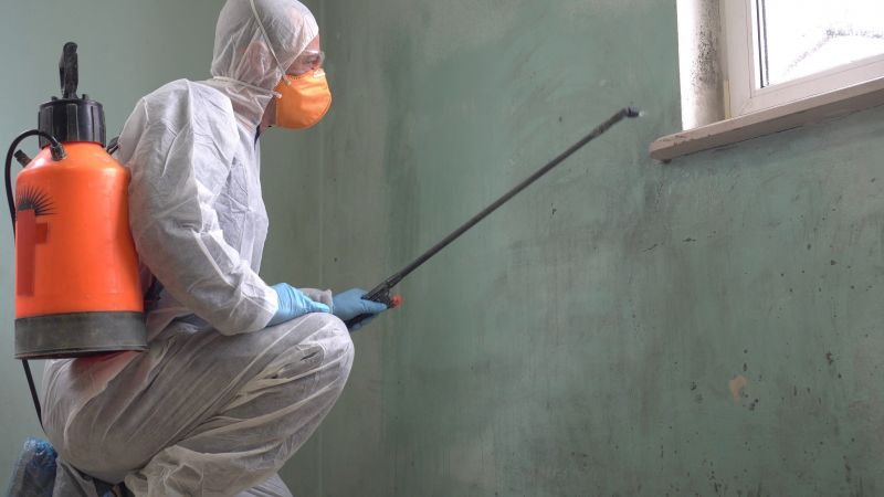 Certified Mold Remediation Experts