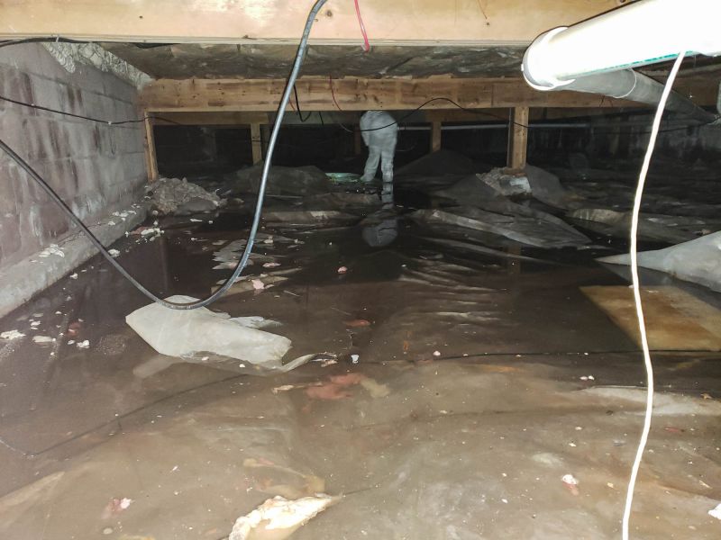 Water Damage Restoration Companies