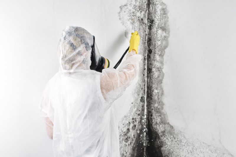 Attic Mold Removal in Essex County, NJ