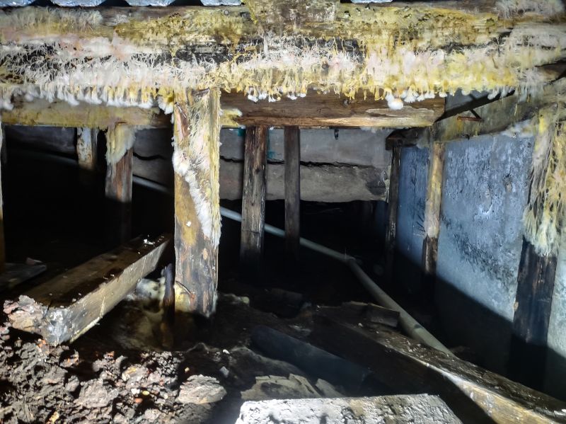 Basement Mold Remediation in Essex County, NJ