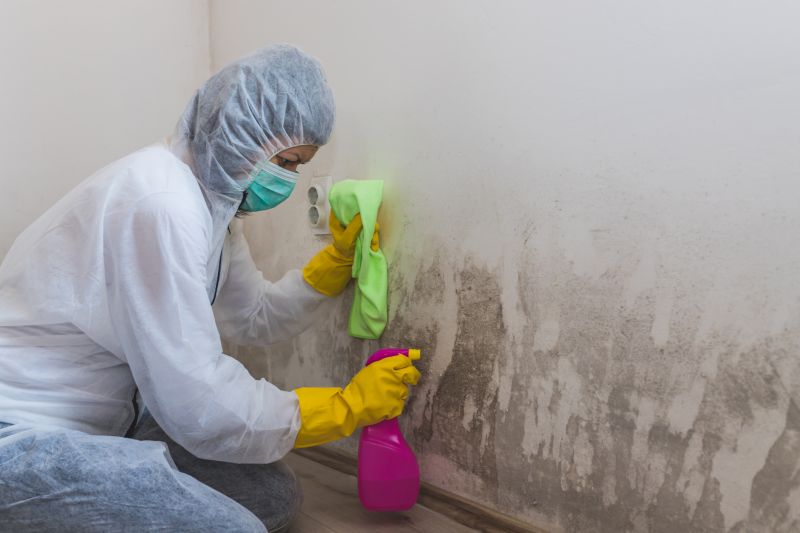 Basement Mold Removal in West Palm Beach, FL