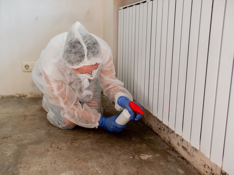 Mold Abatement Service in West Palm Beach, FL